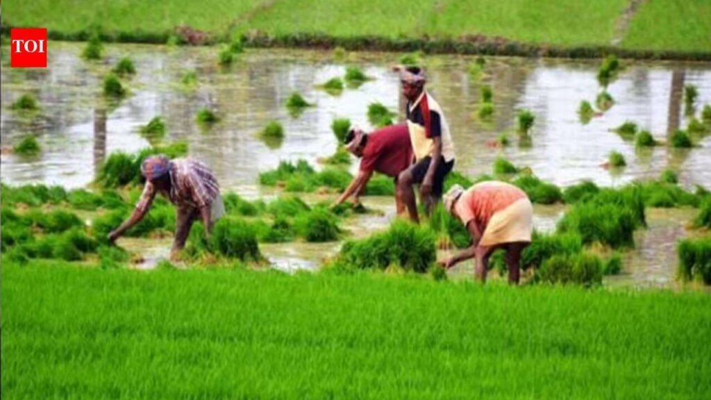 Tamil Nadu budget 2026: Ambitious food grain targets set, aims to boost crop yields and expand irrigation | Chennai News