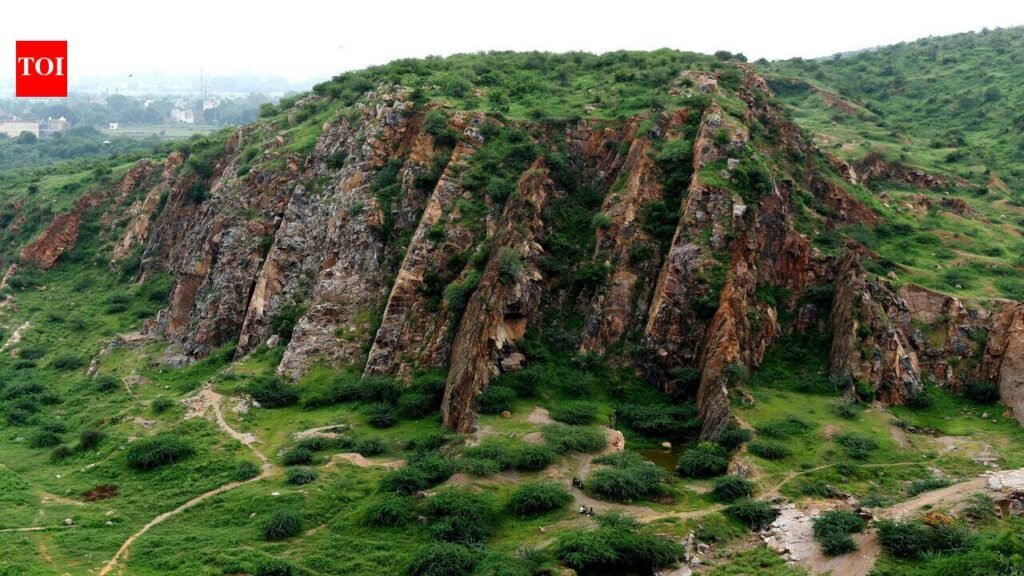 SC panel to start survey for Aravalis definition from Asola, Mangar Bani, biodiversity park | Gurgaon News