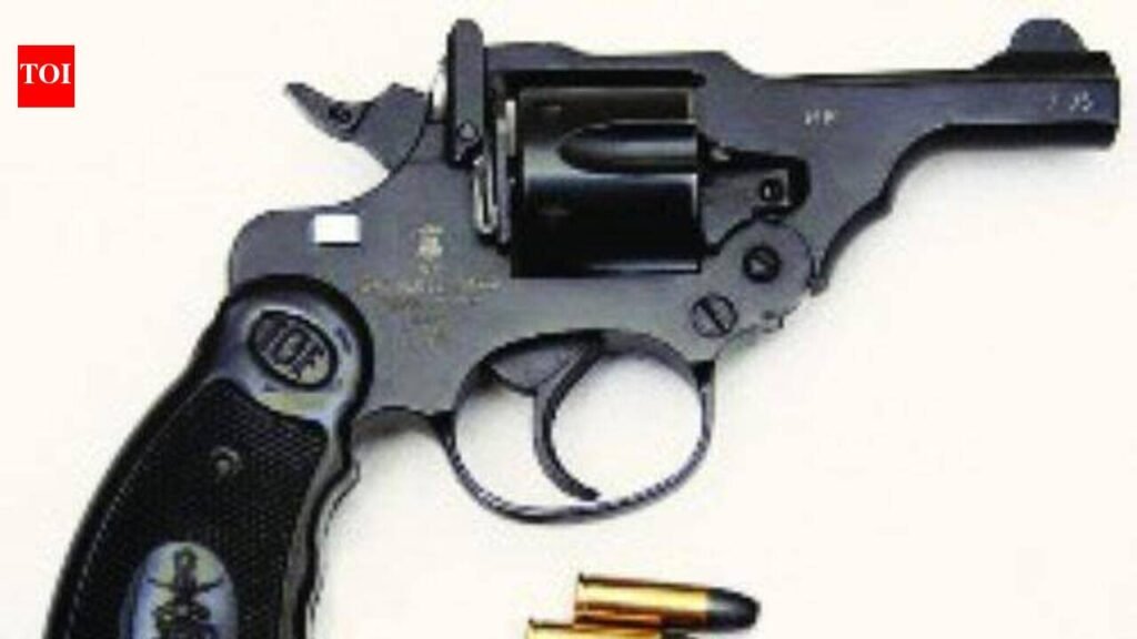 Jewellery store owner foils armed robbery near Bengaluru, injured in shooting | Bengaluru News