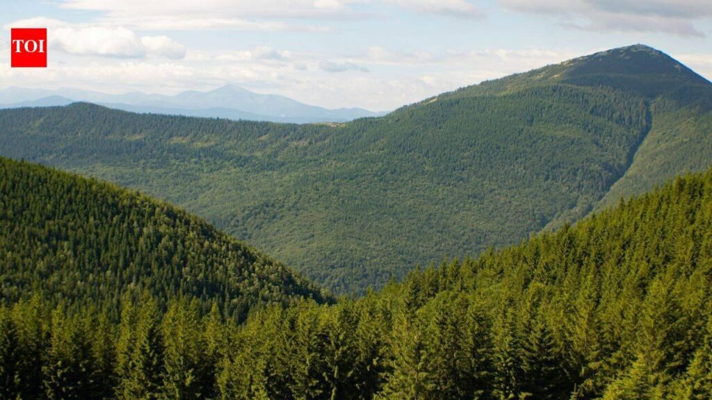 Since 2018, Europe’s forests have lost 46% more biomass per hectare each year; drought and bark beetles are weakening a carbon sink that stored 72% less CO2 in 2020–2022