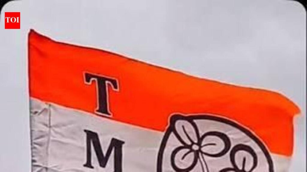 At Rs 191 crore, Trinamool received 2nd highest donations from 2023-25 | Kolkata News