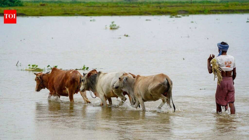 Vantara deploys rescue teams, ambulances for flood-hit animals | Guwahati News