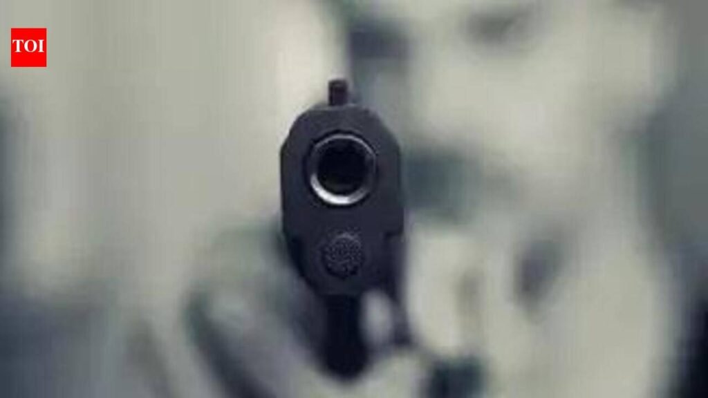 Robbers fire at farmer, flee with two gold chains worth Rs11 lakh | Pune News