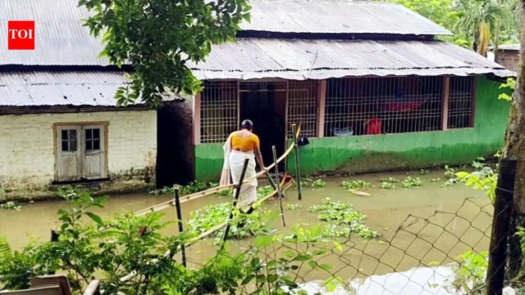 Assam flood toll rises to 97; over 1.68 lakh affected across 15 districts, 481 villages submerged | Guwahati News