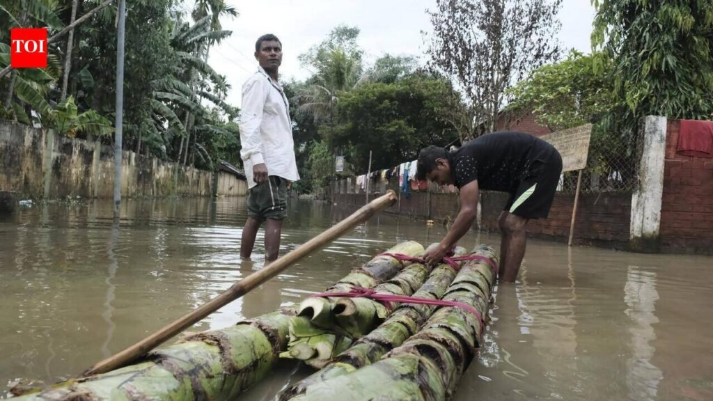 Nemai Jan & Betbari villagers bank on banana rafts in battle for dignity | Guwahati News