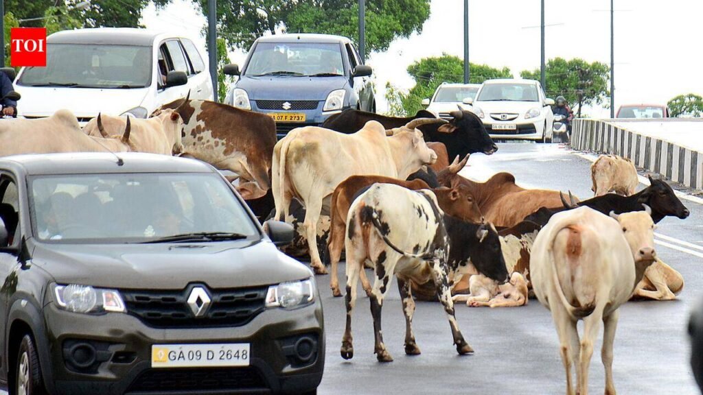 Road safety panel pushes crackdown on modified silencers, highway encroachments | Goa News
