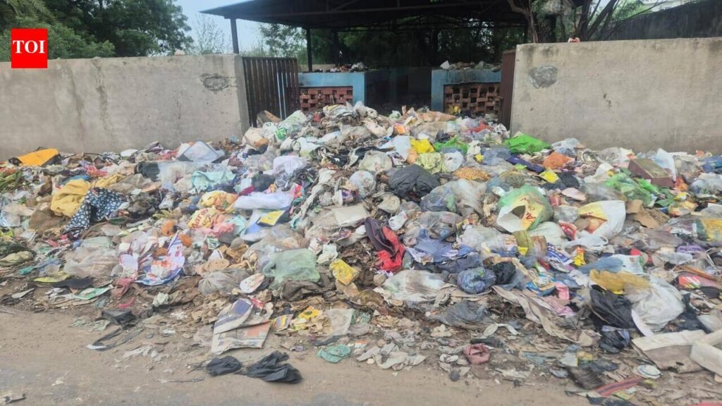 Mayor sets Aug 15 deadline to clear RMC garbage | Chandigarh News