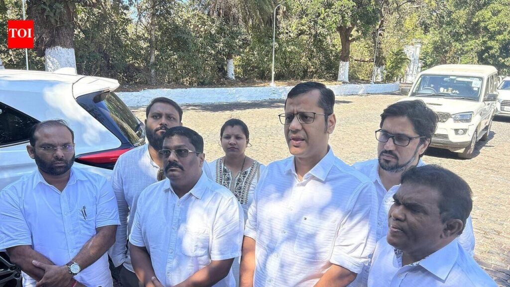 Environmentalists, civic groups call for unity among opposition | Goa News