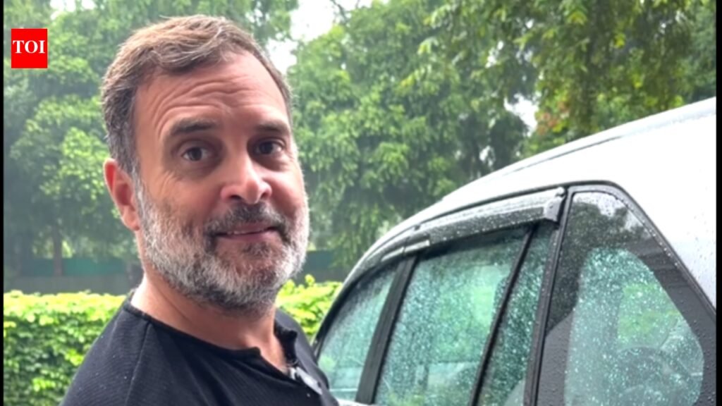 ‘Govt stealing money, destroying lives’: Rahul Gandhi vows campaign against E20 | India News