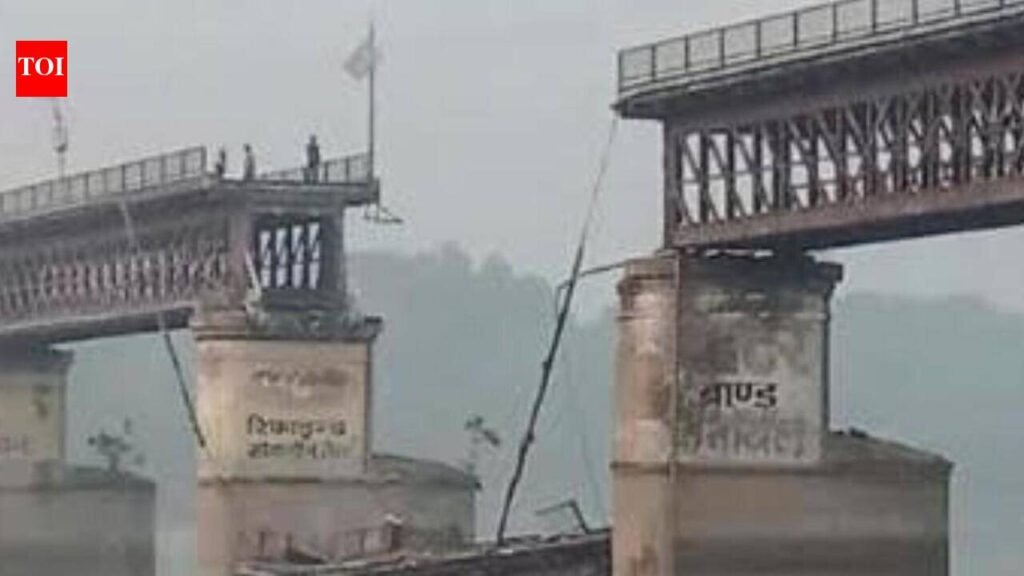 NGT closes Ganga flow case over bridge collapse | Kanpur News