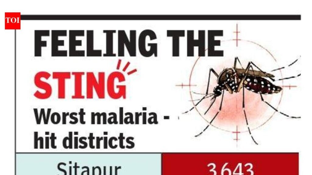 Worst-hit Sitapur now sees malaria cases fall | Lucknow News