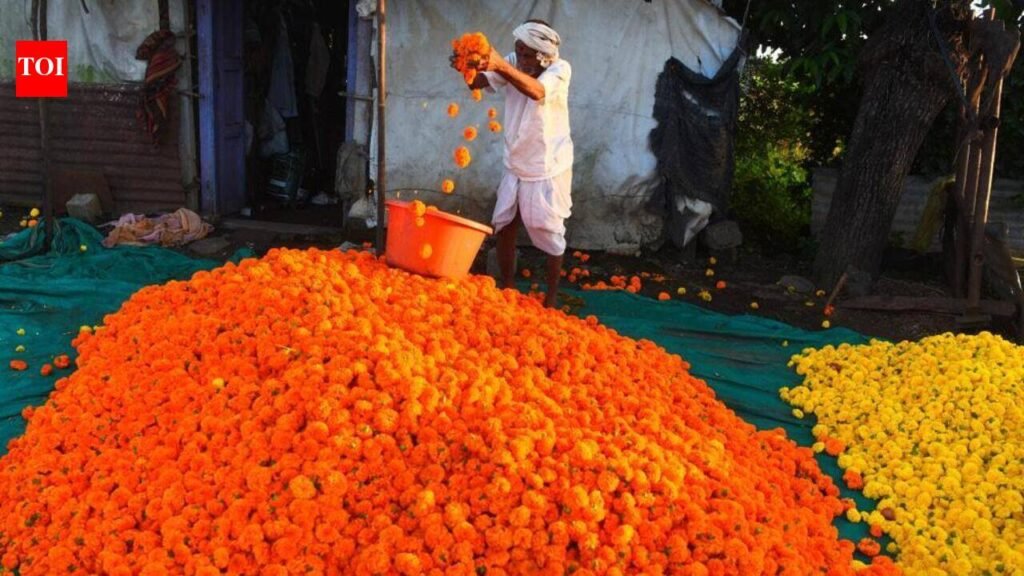 State eyes marigold self-sufficiency within 2 yrs | Goa News