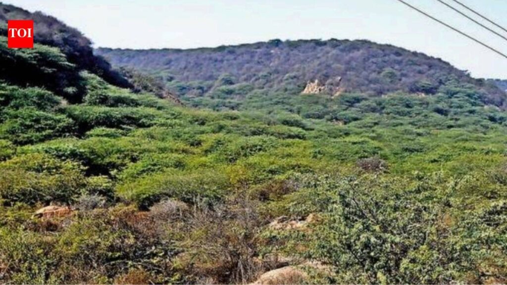 SC panel begins Aravali survey, calls for stronger legal shield | Gurgaon News
