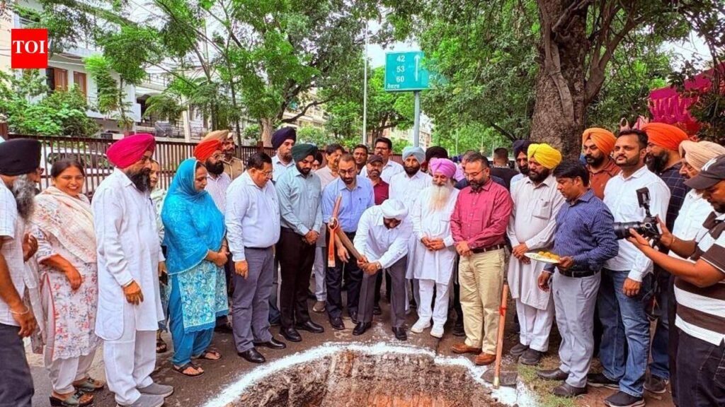 Major sewerage upgrade begins in Mohali | Chandigarh News