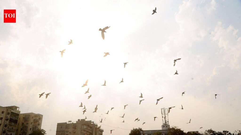 Light drizzle, cloudy skies keep Ahmedabad warm and humid on Aug 7 | Ahmedabad News