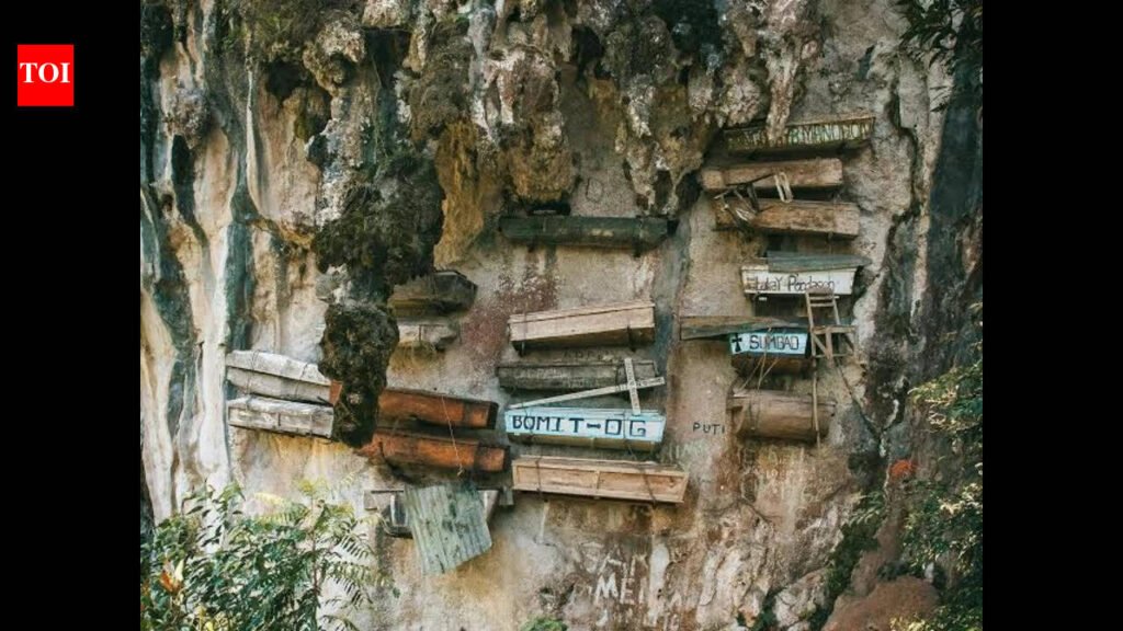 For centuries, China’s hanging coffins had no known builders. Ancient DNA now points to the Bo people | World News