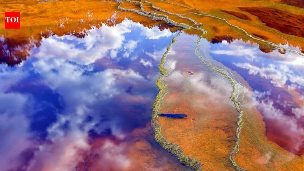 Spain’s blood-red Río Tinto river is as acidic as vinegar, and Nasa says it could help scientists find life on Mars | World News