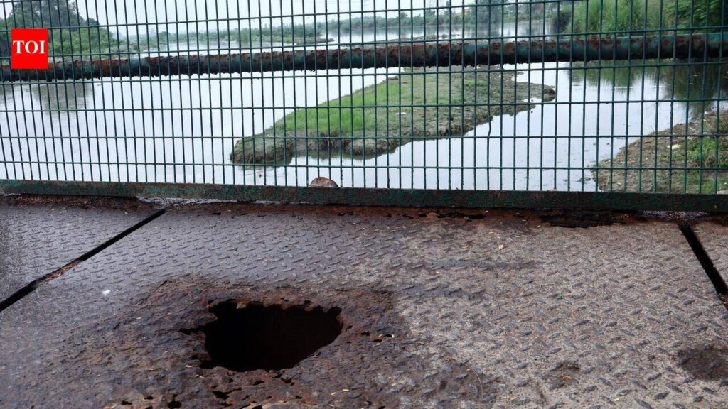 Damaged by floods, GDA to revamp bridge to city forest | Noida News
