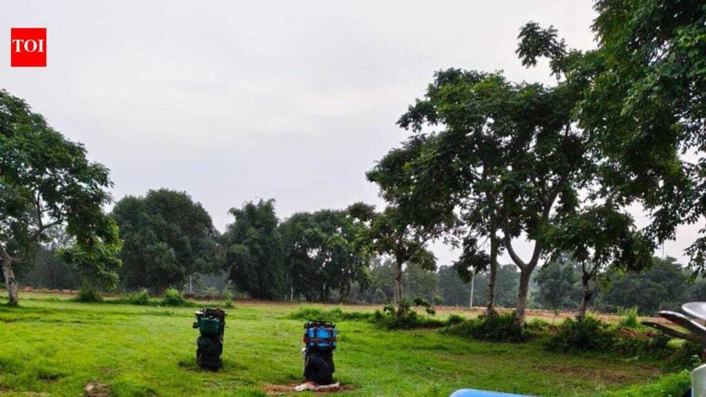 Elephant herds keep farmers off fields, hit paddy sowing in Tatijharia | Ranchi News
