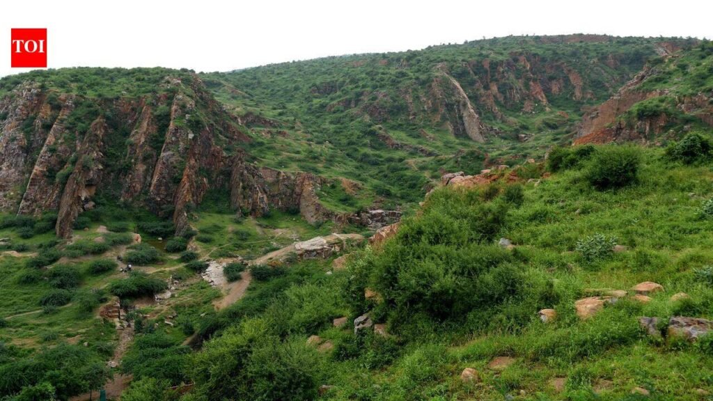 SC panel begins Aravali survey, calls for stronger legal shield | Gurgaon News