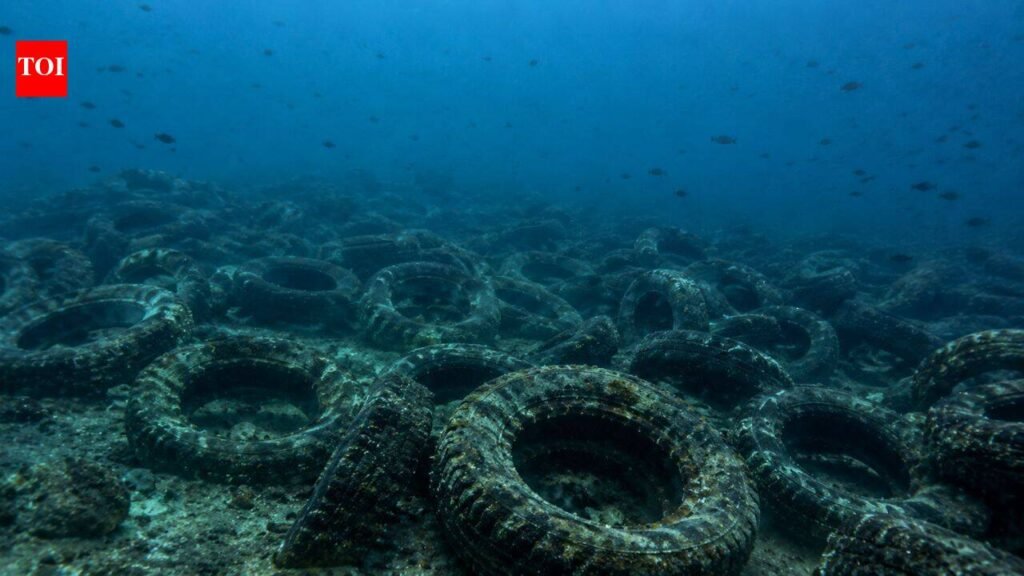 Florida dumped millions of tyres into the ocean to build a reef. More than 50 years later, it is still cleaning them up | World News