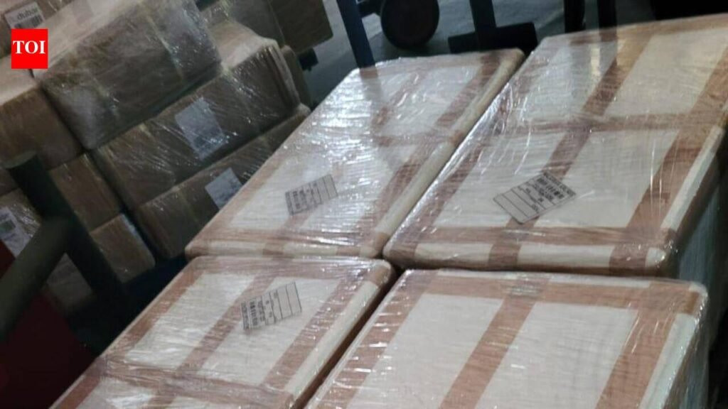 Wildlife officials seize rare snakehead fish consignment at airport | Kolkata News