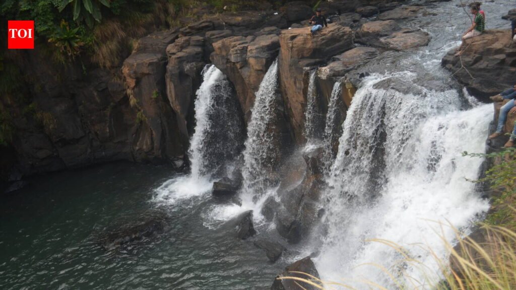 Drownings at Goa’s waterfalls highlight monsoon dangers | Goa News