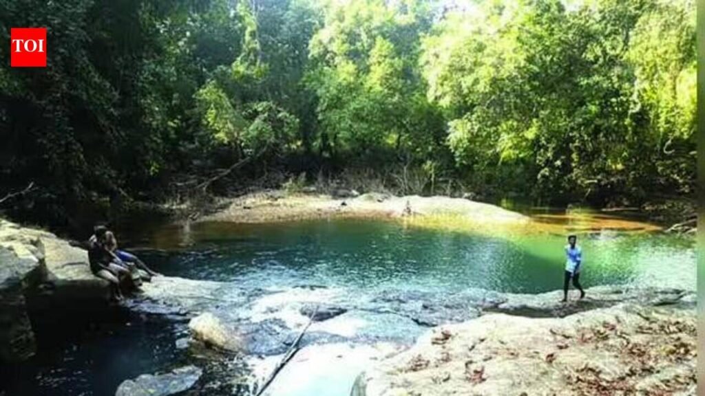 CM orders action against all responsible for student’s waterfall death | Goa News