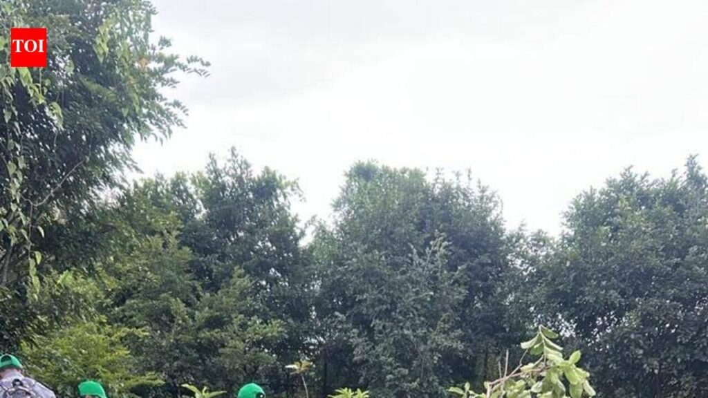Citizens roll up sleeves to green Bengaluru’s parks with TOI | Bengaluru News