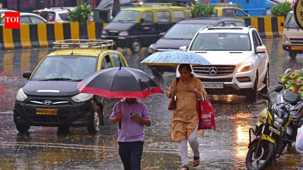 Palghar’s rain-hit residents to get Rs 39.86 crore aid from Maharashtra govt | Mumbai News