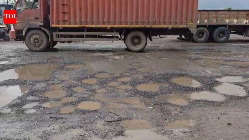 Snarls caused by potholes choke Chakan MIDC, industrialists & residents seek urgent repairs | Pune News
