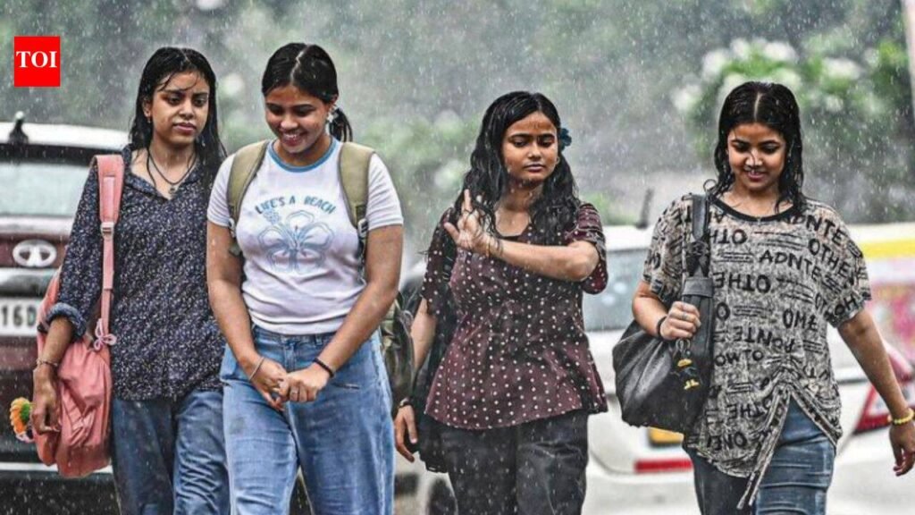 With 98.7mm rain, Delhi records wettest August day in 2 years; more showers likely today | Delhi News