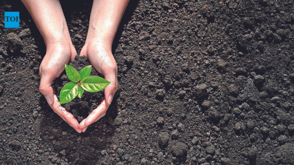 ISRO-NRSC study uses satellite data, AI to map soil health in Andhra farmland | Hyderabad News