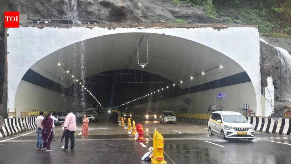 Fatal accident at Connecting Link prompts MSRDC to step up heavy vehicle ban enforcement, more police deployment | Pune News