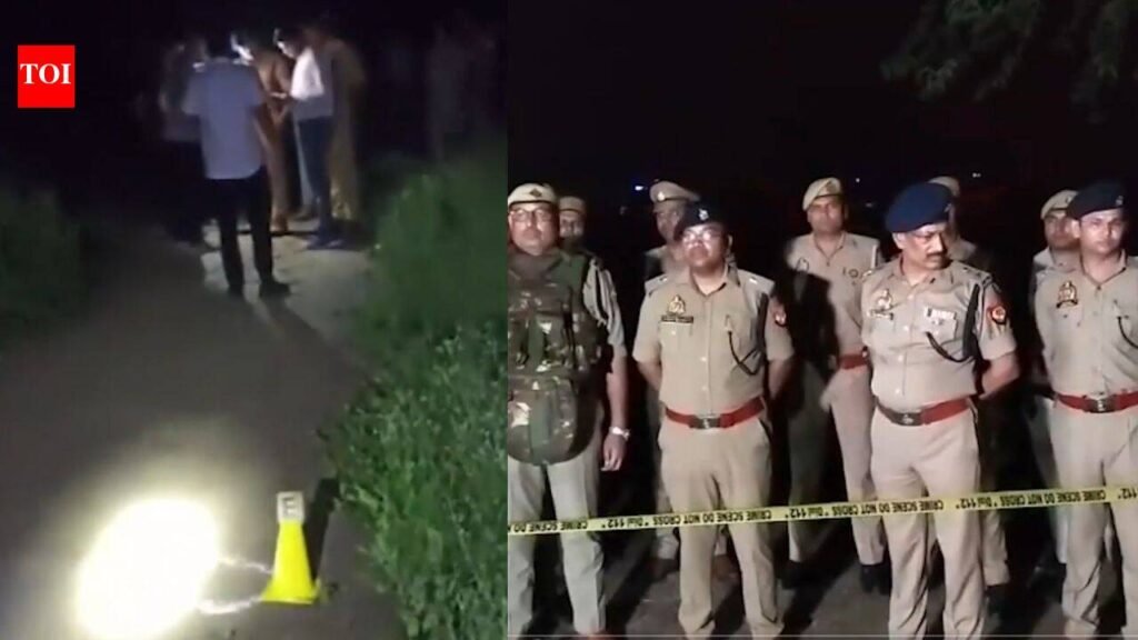Bulandshahr encounter: Wanted rape-murder accused carrying Rs 50,000 reward killed in police firing | Meerut News