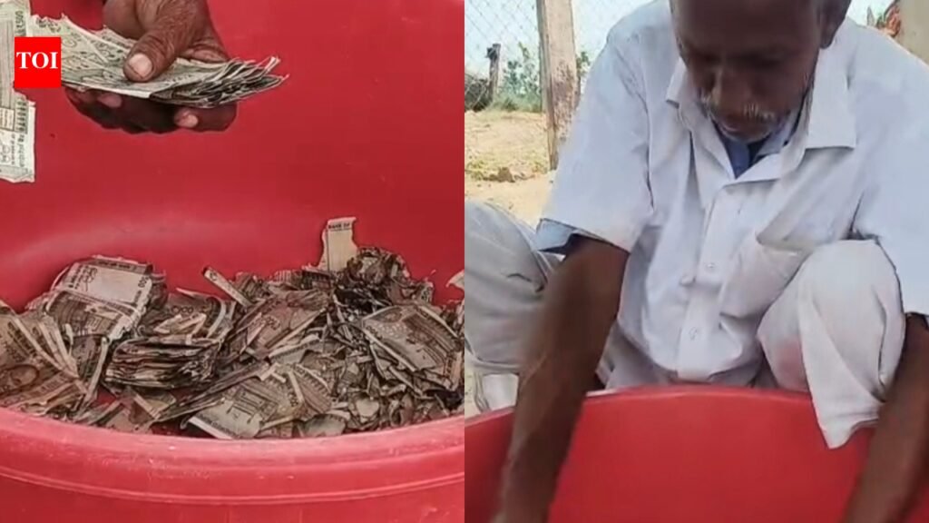 Rajasthan farmer buries Rs 5 lakh, forgets spot; termites destroy cash after nearly a year | Jaipur News