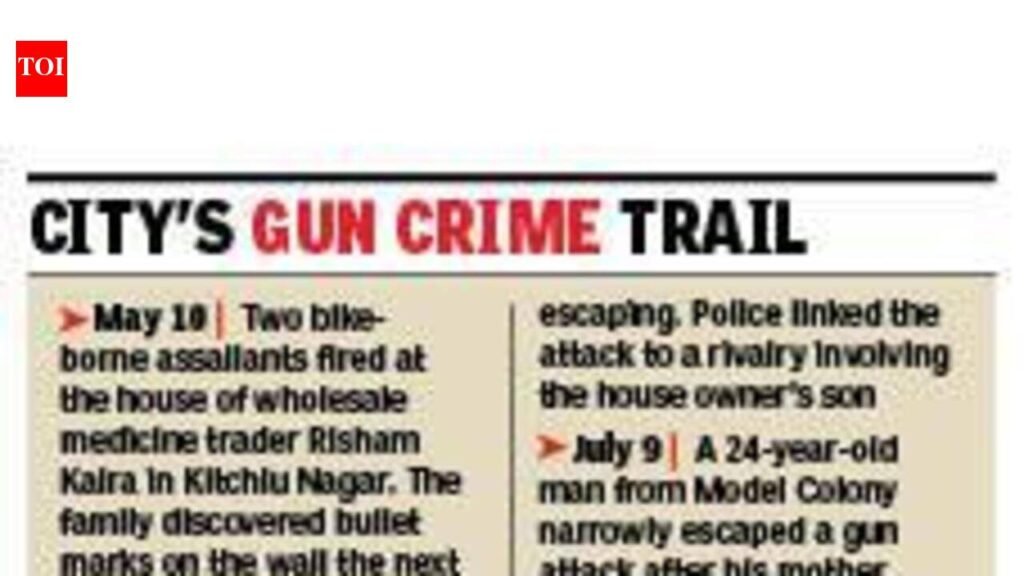 Gun crime surge raises questions on police action | Ludhiana News