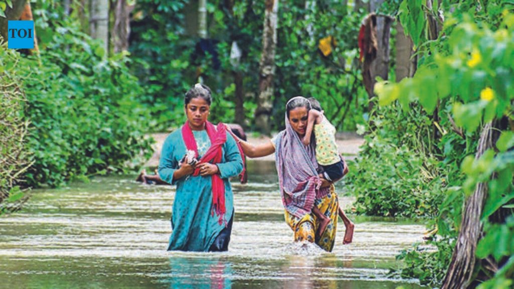 Flood fear persists in Assam, more rain likely | Guwahati News