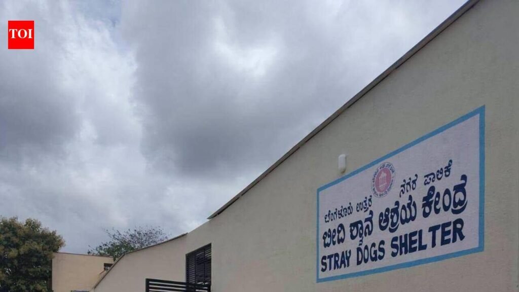 Stray dogs in Bengaluru north corporation limits to check-in at new shelter this week | Bengaluru News