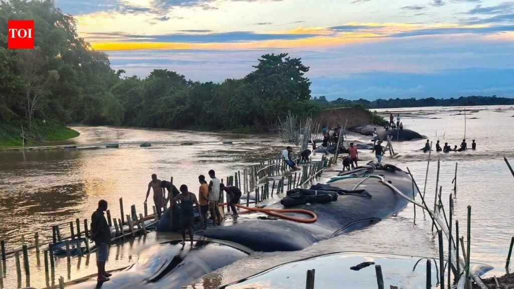 Jorhat repairs 4 flood breaches, DC says all 9 to be sealed by Aug 15 | Guwahati News