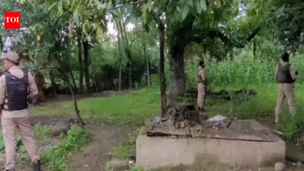 Police search 26 locations tied to banned Jamaat-e-Islami J&K | India News