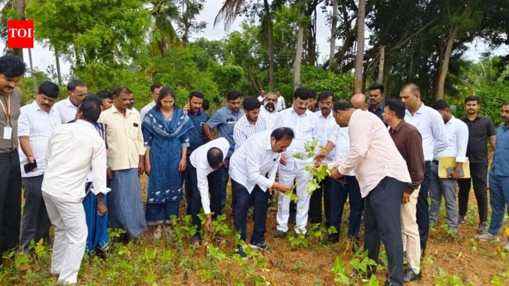 Ministers inspect drought-affected crops, order damage report | Mysuru News