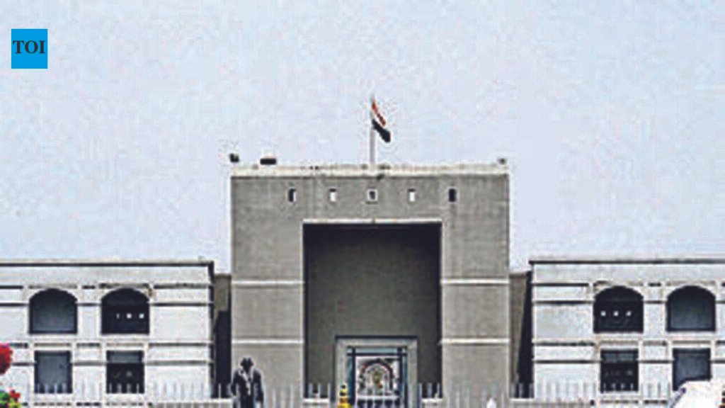 Inspect records alone, can’t take others’ help: HC | Ahmedabad News