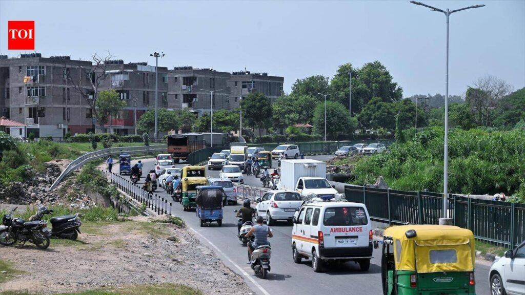 9 firms vie for Sukhna Choe high-level bridge project | Chandigarh News