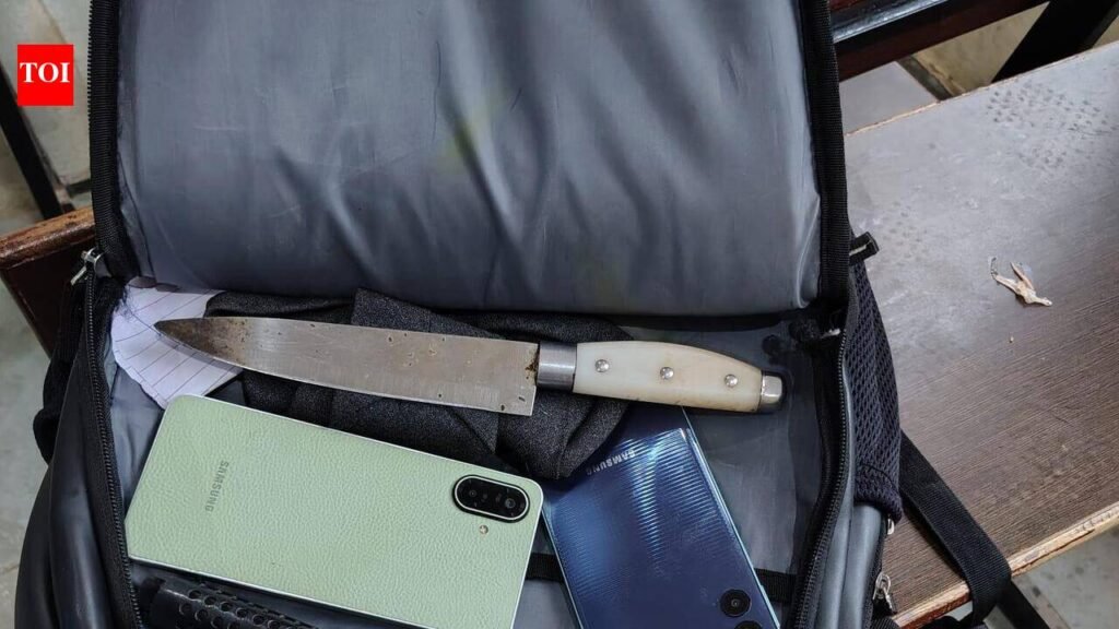 Air gun, knife found in Class XI student’s bag during Fbd school check | Gurgaon News