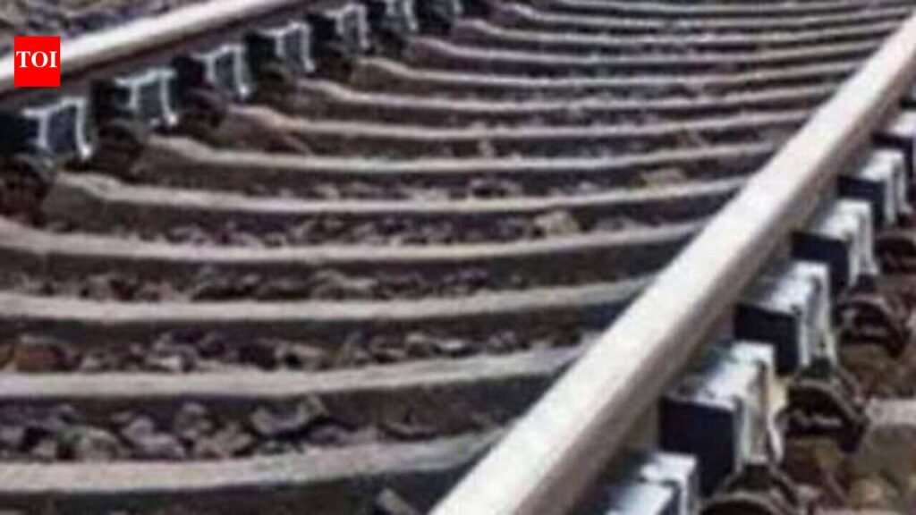 Wildlife plan prepared for Goa rail project clearance: Centre | Goa News