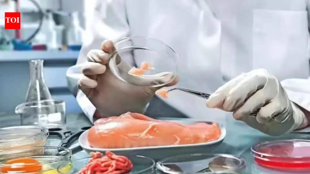 Telangana Food Safety: Nearly 400 food samples fail quality checks in Telangana, yet zero penalties or convictions | Hyderabad News