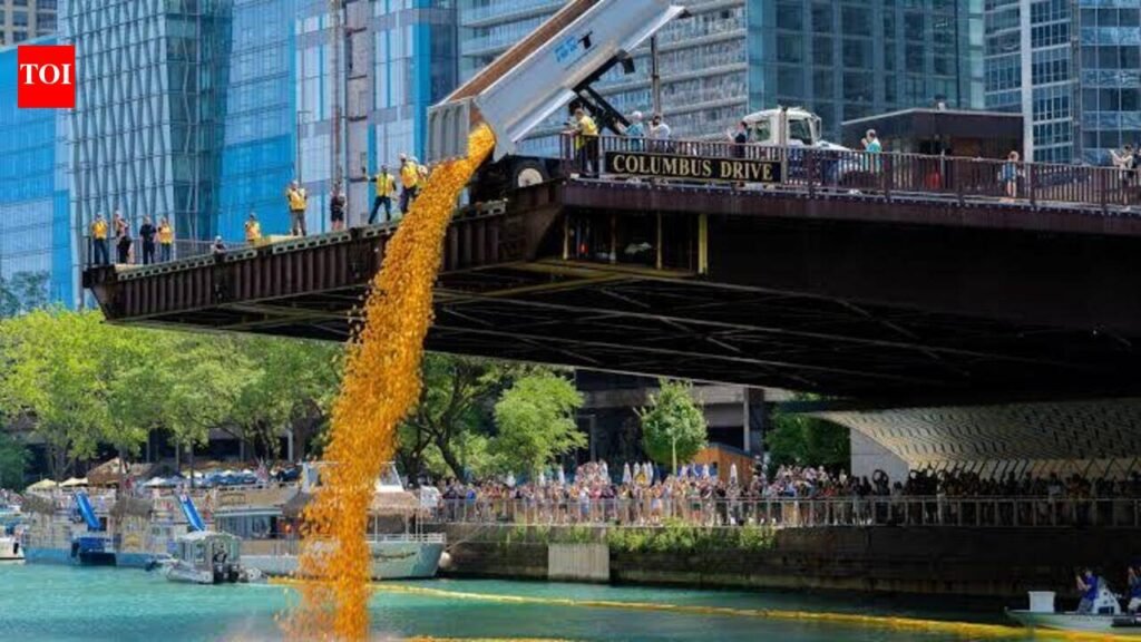 Believe it or not: Quack attack: This isn’t bath time, it’s a duck race | Kolkata News