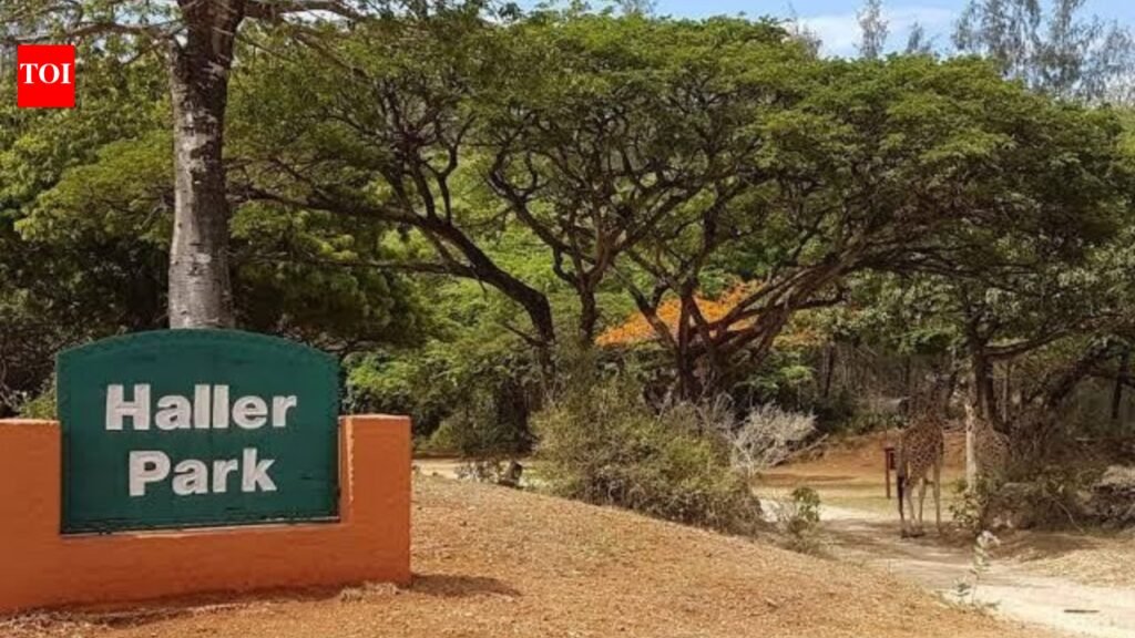 One man spent decades transforming a Kenyan quarry left barren by limestone mining into a thriving wildlife sanctuary filled with forests, wetlands and wildlife | World News
