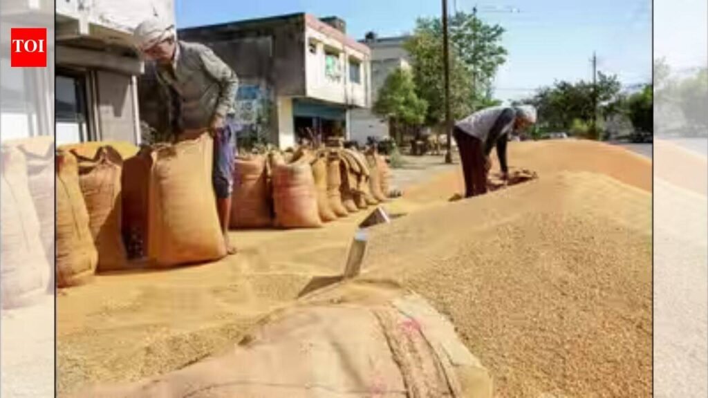 Hapur: From grain market to a logistics hub | Lucknow News